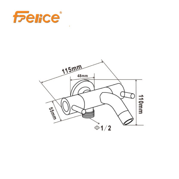 FELICE 14 scaled