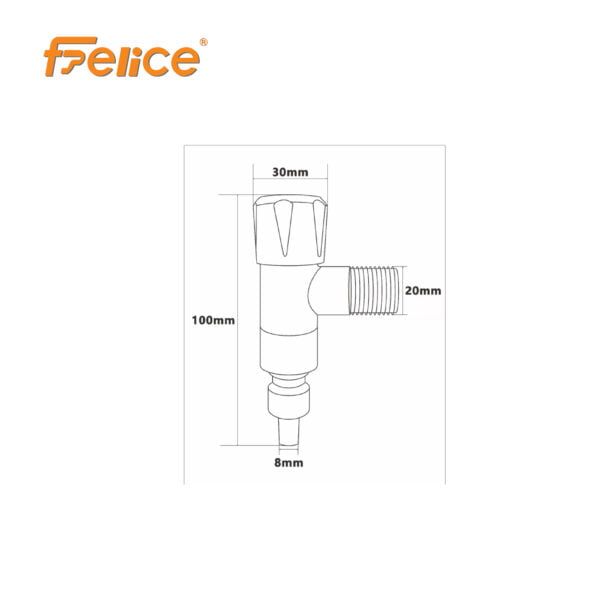 FELICE 15 scaled