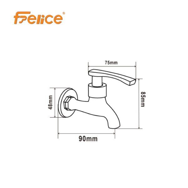 FELICE 16 scaled