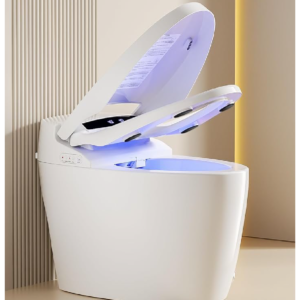 Intelligent Water Closet