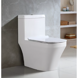 One Piece Water Closet