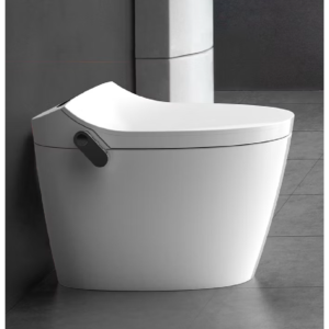 Tankless Water Closet