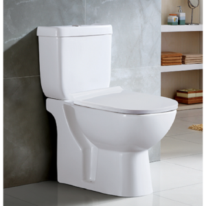 Two Piece Water Closet